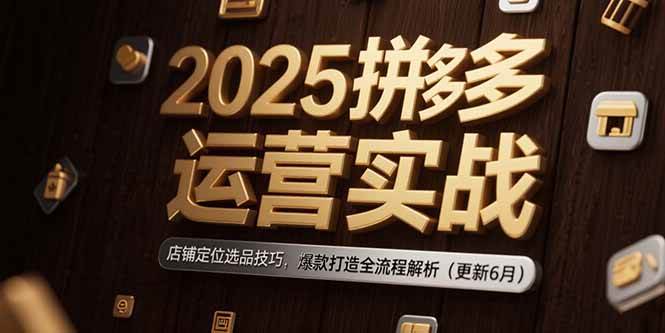 （15235期）2025拼多多运营实战：店铺定位选品技巧，爆款打造全流程解析（更新6月）-吾爱网创