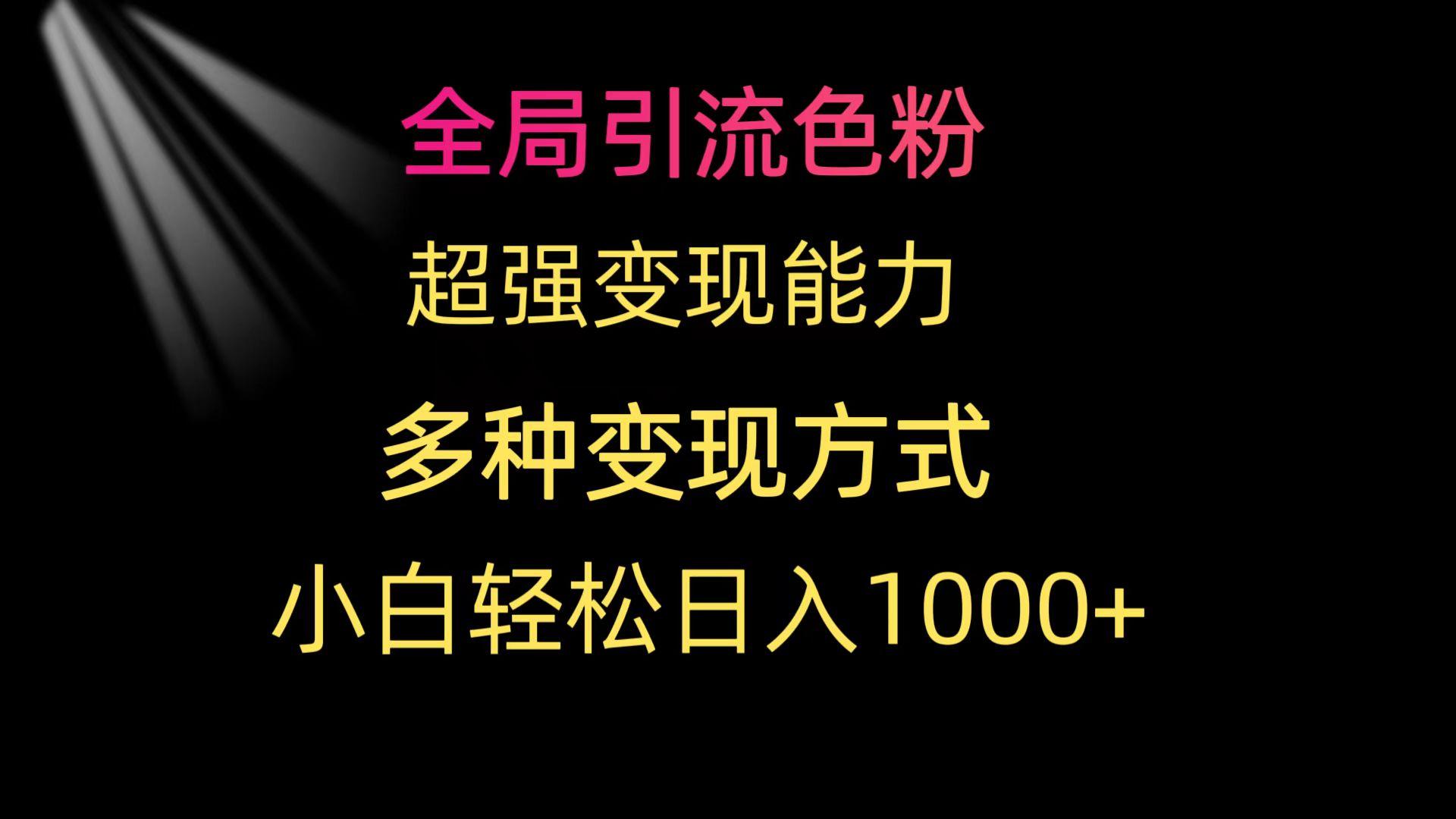(9680期)全局引流色粉 超强变现能力 多种变现方式 小白轻松日入1000+-吾爱网创
