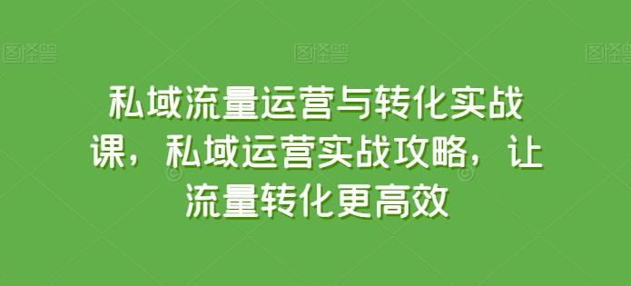 私域流量运营与转化实战课，私域运营实战攻略，让流量转化更高效-吾爱网创