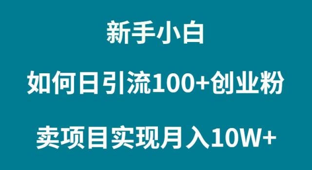 (9556期)新手小白如何通过卖项目实现月入10W+-吾爱网创