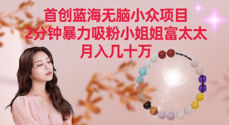 首创蓝海无脑小众项目，2分钟暴力吸粉小姐姐富太太，月入几十万【揭秘】-吾爱网创