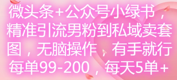 微头条+公众号小绿书，精准引流男粉到私域卖套图，无脑操作，有手就行，每单99-200，每天5单-吾爱网创