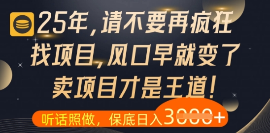 什么？25年你还在疯狂找项目做，醒醒吧，看完这些你全都懂了【揭秘】-吾爱网创
