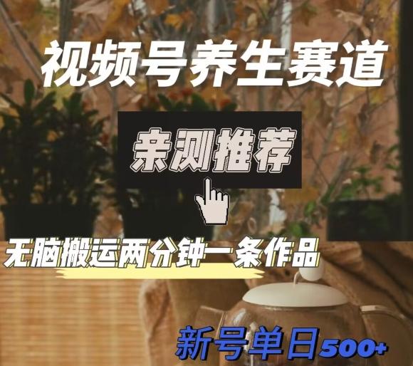 视频号养生赛道暴力掘金，无脑搬运，两分钟一条作品-新日单入500+-吾爱网创