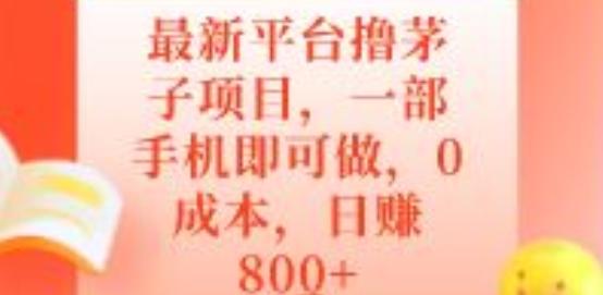 最新平台撸茅子项目，一部手机即可做，0成本，日赚800+-吾爱网创