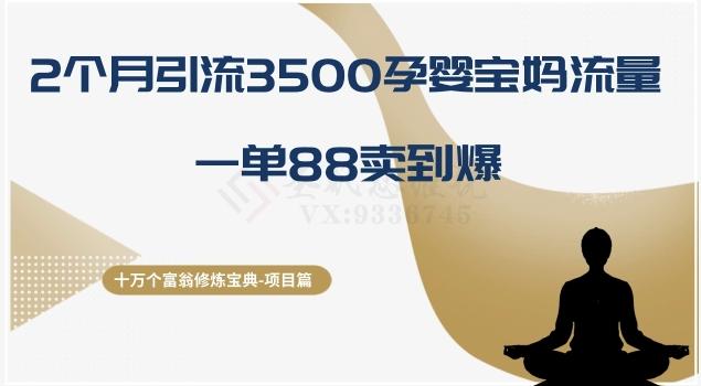 十万个富翁修炼宝典之13.2个月引流3500孕婴宝妈流量，一单88卖到爆-吾爱网创