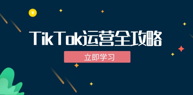 TikTok实战运营全攻略：从下载软件到变现，抖音海外版实操教程-吾爱网创