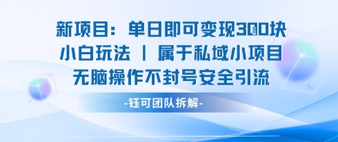 新项目单日即可变现3张的小白玩法无脑操作不封号安全引流-吾爱网创